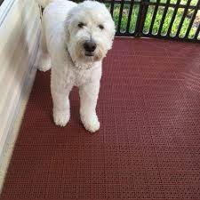 But the fact is carpet can’t fit some porches due to rain problems. Pet Friendly Screened In Porch Flooring