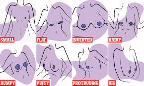 Experts reveal the eight different types of nipples including protruding  and 'puffy' | Daily Mail Online