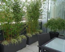 roof garden balcony plants screen