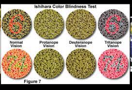 color blindness powerpoint by hannah