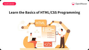 basics of html css for beginners start