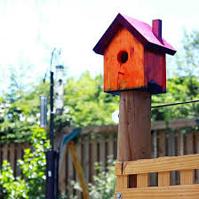 Birdhouse Painting Ideas For Kids The