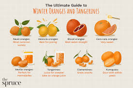 Essential paint tools & accessories. Guide To Types Of Winter Orange And Tangerines