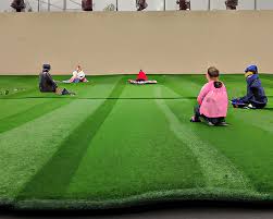 artificial turf or natural gr