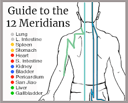 Guide To The 12 Meridians