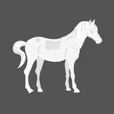 free horse clipart templates exles
