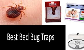 top 5 best bed bug traps updated 2021