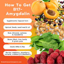 apricot seeds amygdalin vitamin b17