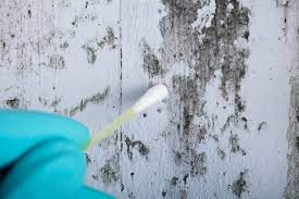 mold inspection cost mold inspection