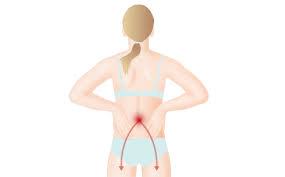 Check Your Back Pain Symptoms Earlydoc Symptomcheck