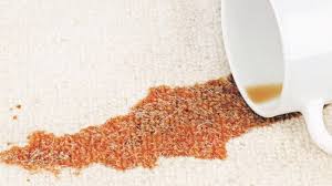 carpet cleaning citrus o carpet cleaning