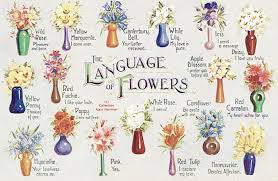 Floriography Victorian Flower Language Postcard Flower