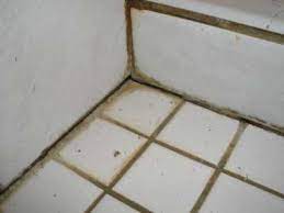 prevent expensive bathroom repairs