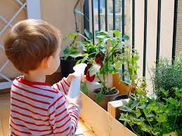 Apartment Gardening A Beginners Guide