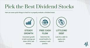 50 best dividend stocks for 2024