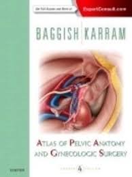 The pelvic girdle consists of two symmetrical halves. Atlas Of Pelvic Anatomy And Gynecologic Surgery