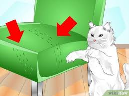 your cat to use a scratching post