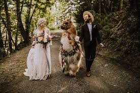 love llama boho wedding inspiration