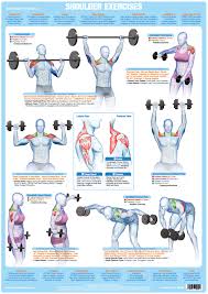 76 Prototypal Weight And Exercise Chart