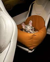 Terracotta Vegan Leather Dog Car Seat