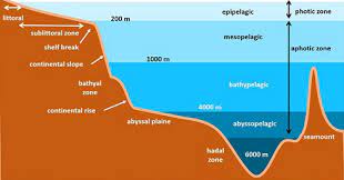 ocean floor features variations