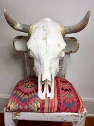 21 23 Tall Genuine Cow Skull Cool Wall