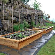 Raised Garden Beds And Elevated