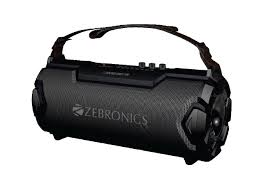 zebronics zeb sound feast 100 portable