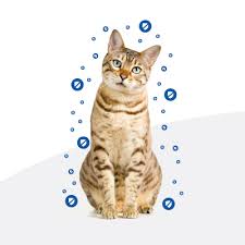 If your cat suffers from adverse reactions to food, it is even more important to feed the right food. Hill S Pd Feline Z D Food Sensitivities Zooplus Ie