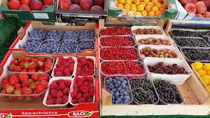 Frutas de a a z, qual a forma correta? Fruta Wikipedia La Enciclopedia Libre