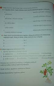 Biologia Podsumowanie Działu 4 Ćwiczenia Puls Życia Biologia Klasa 5 Proszę  o pomoc (Szybko)​ - Brainly.pl