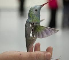 the nano hummingbird the next step