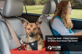 8 Best Dog Car Seat Options For Your