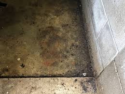 Basement Mold Inspections Air Quality