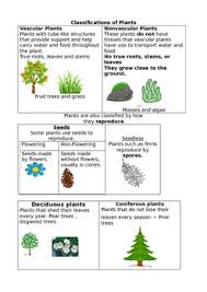 Plant Classification Anchor Charts