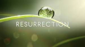 Image result for resurrection