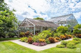 My name is anthony calleja. Foster Botanical Garden In Honolulu Oahu Hawaii Hawaiian Beach Rentals