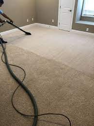 top rated premier carpet cleaner for 20