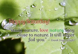 Image result for saturday quotes with pictures