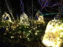 meadowlark s winter walk of lights