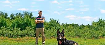 How to become a certified dog trainer in texas. Puppy Dog Trainers For Austin Tx Precision K9 Work