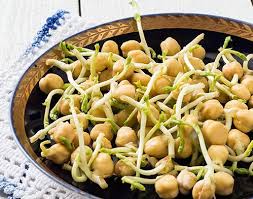 garbanzo bean sprouts