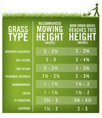 How To Mow Your Lawn Lawn Care Tips Bermuda Grass Lawn