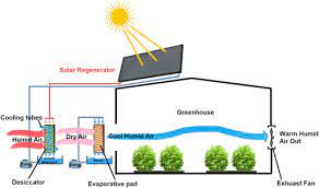 Greenhouse Design And Cooling