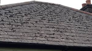Asbestos In Roofs And Flat Roofs Strandek