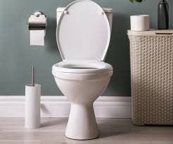 How To Replace Install A New Toilet Seat