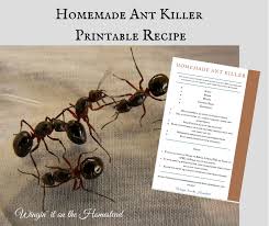 easy homemade ant that works