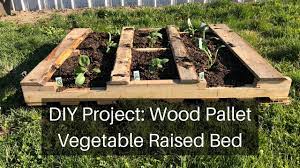 diy garden project wood pallet raised