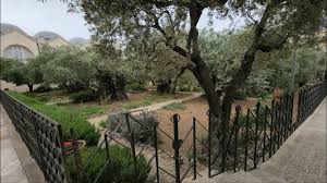 gethsemane garden the church of all