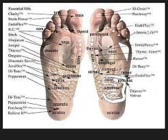 Young Living Vita Flex Foot Chart Best Picture Of Chart